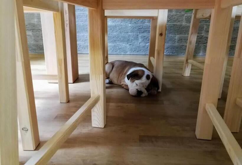 بنسيون Penzion U Klujů