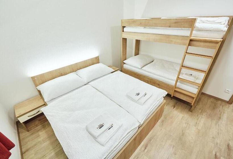 פנסיון Penzion U Zámku