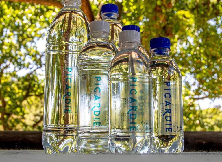 Пансион Picardie Guest Farm