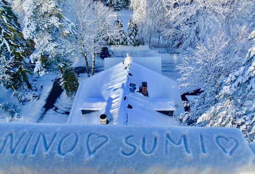 ペンション Prinzfriedrichaugust Baude