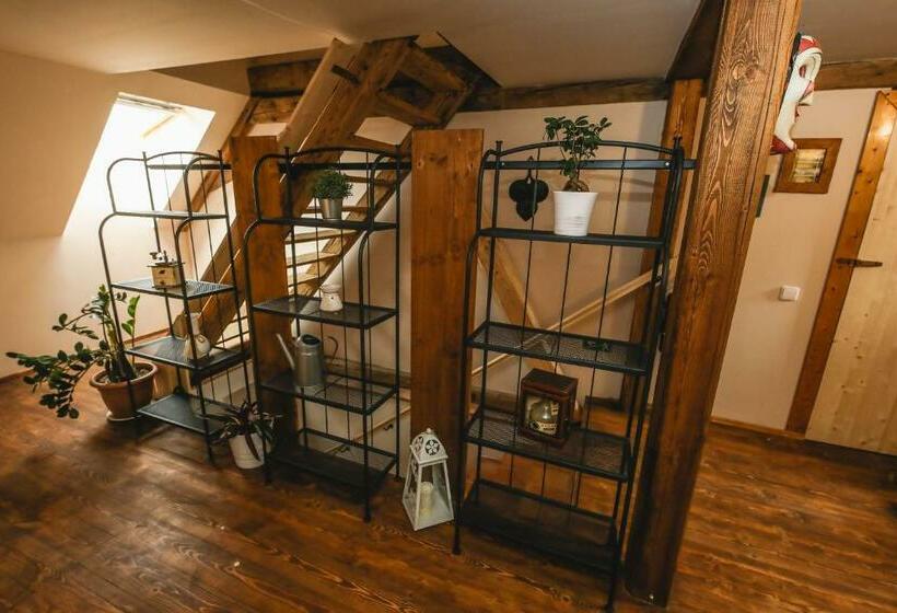 膳宿费 Statek Jakubov