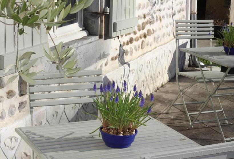 פנסיון Vintage Vert