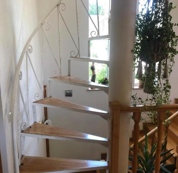 بنسيون Yellow Guest House