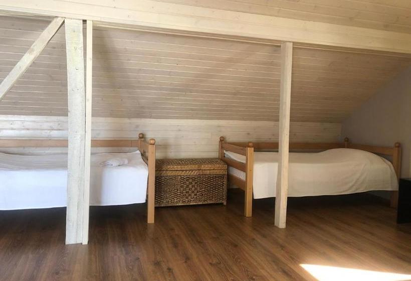 بنسيون Yellow Guest House