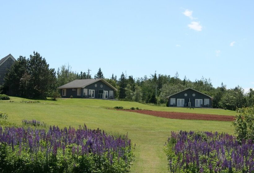 فندق صغير Amherst Shore Country Inn