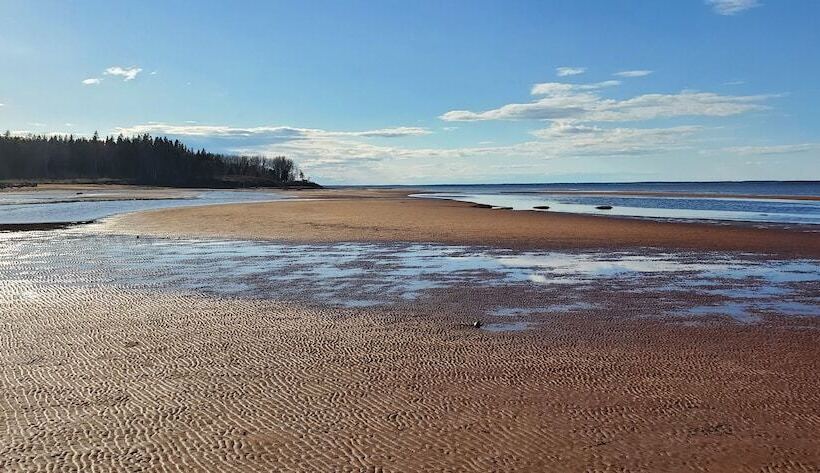 فندق صغير Amherst Shore Country Inn