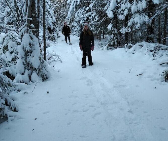 فندق صغير Amherst Shore Country Inn