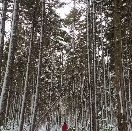 فندق صغير Amherst Shore Country Inn