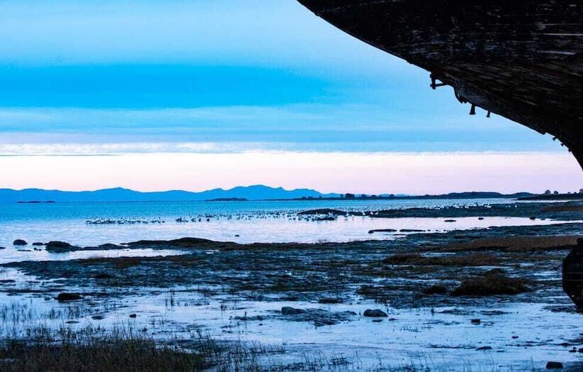 旅馆 Auberge Pourvoirie Isle Aux Grues