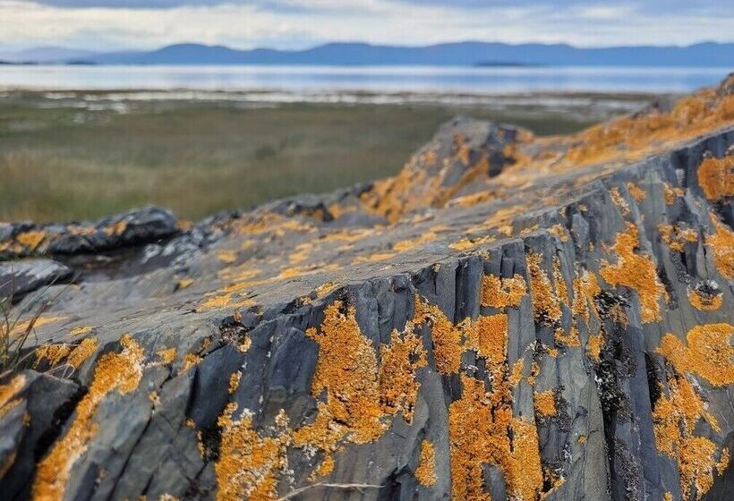 旅馆 Auberge Pourvoirie Isle Aux Grues
