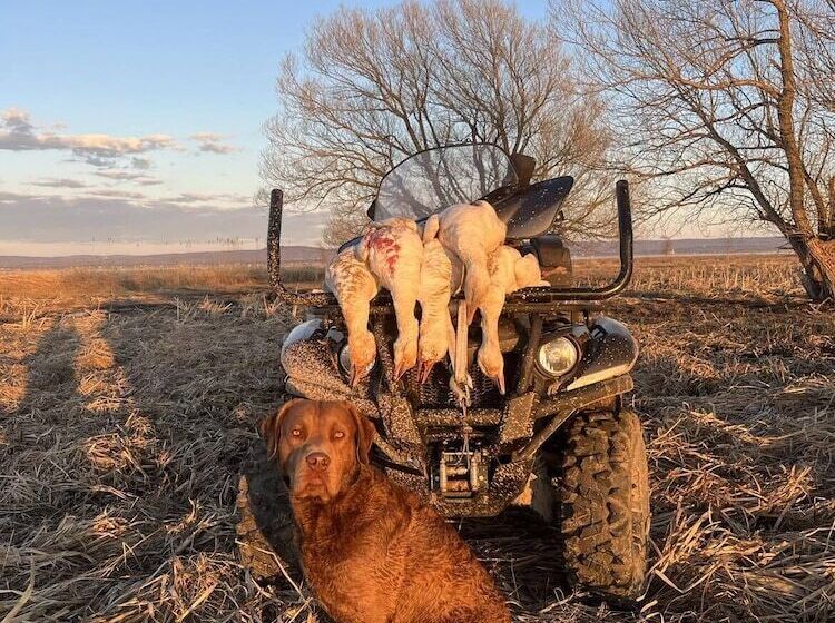 旅馆 Auberge Pourvoirie Isle Aux Grues