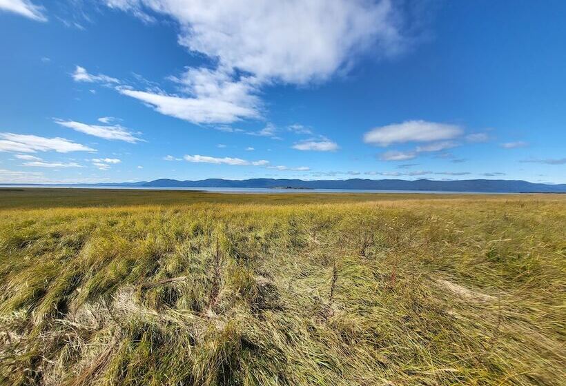 旅馆 Auberge Pourvoirie Isle Aux Grues