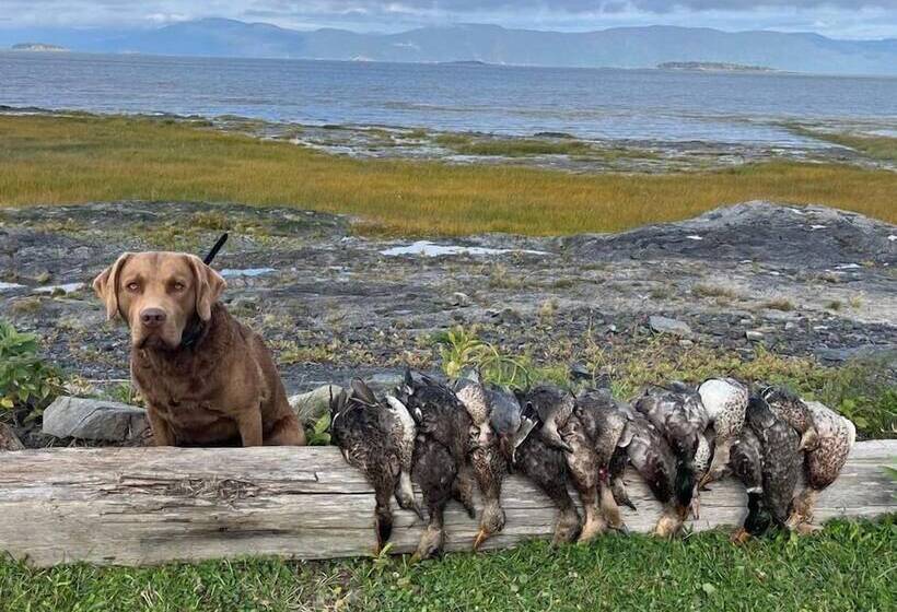 旅馆 Auberge Pourvoirie Isle Aux Grues