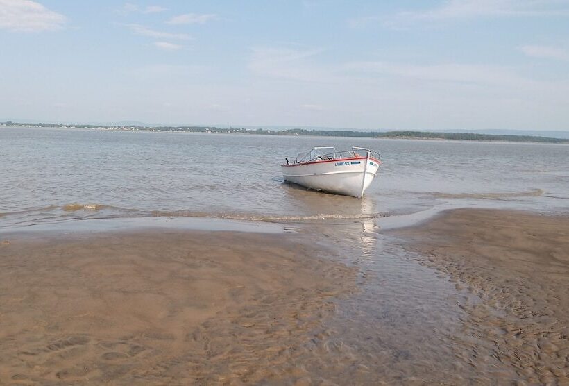 旅馆 Auberge Pourvoirie Isle Aux Grues