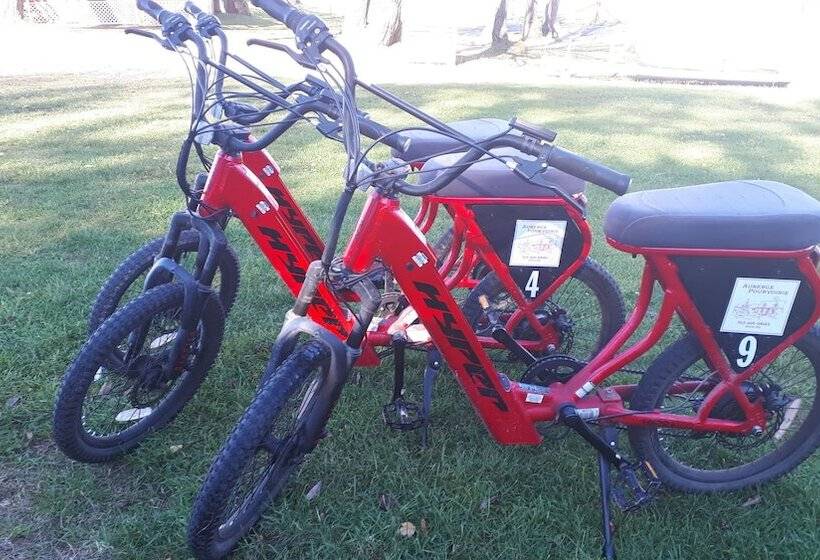 旅馆 Auberge Pourvoirie Isle Aux Grues