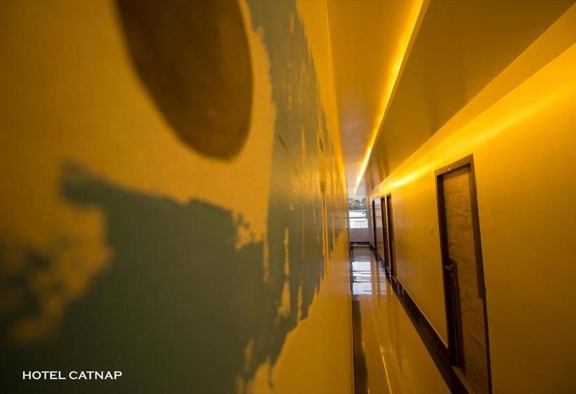 Общежитие Catnap
