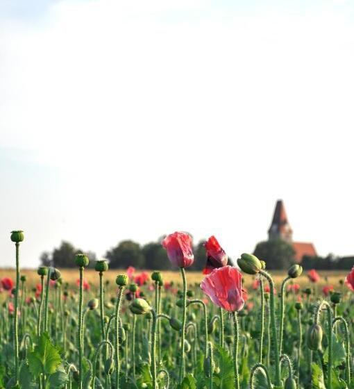 הוסטל Gasthof Speneder