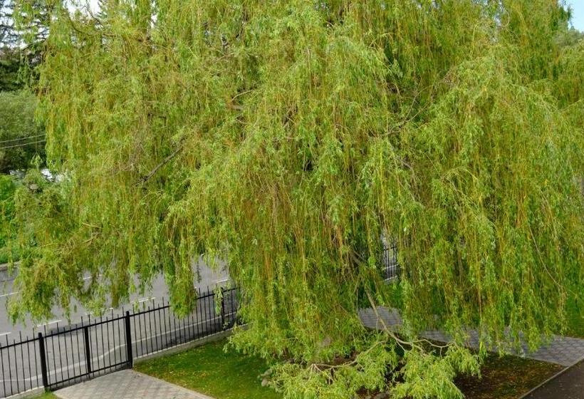 ユースホステル Ymca Spitak