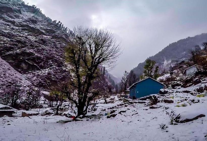 Ayoya Malana Resort Shiva Cafe