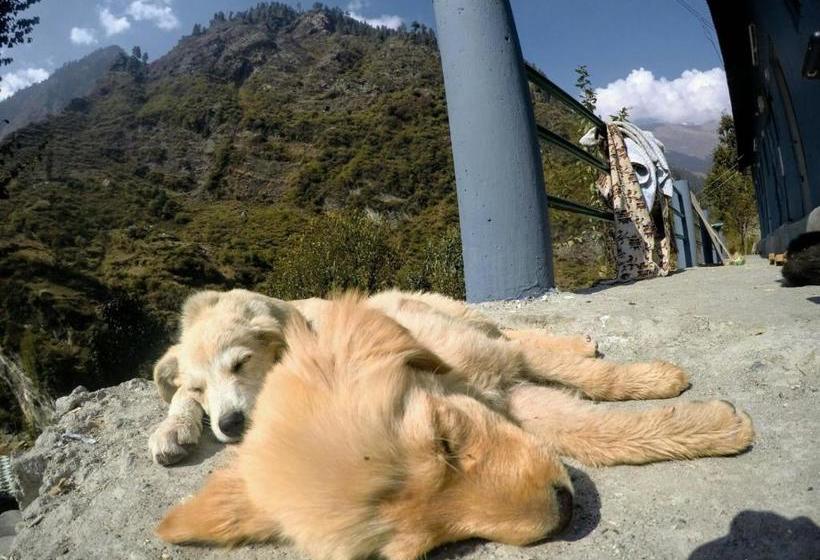 Ayoya Malana Resort Shiva Cafe