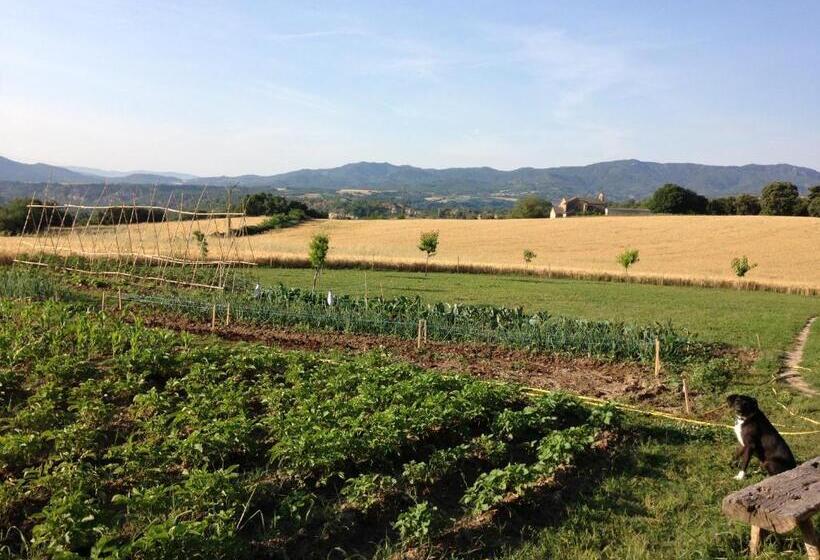 مبيت وإفطار Casa Lascorz