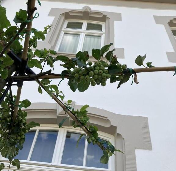 צימר Gästehaus Cantzheim