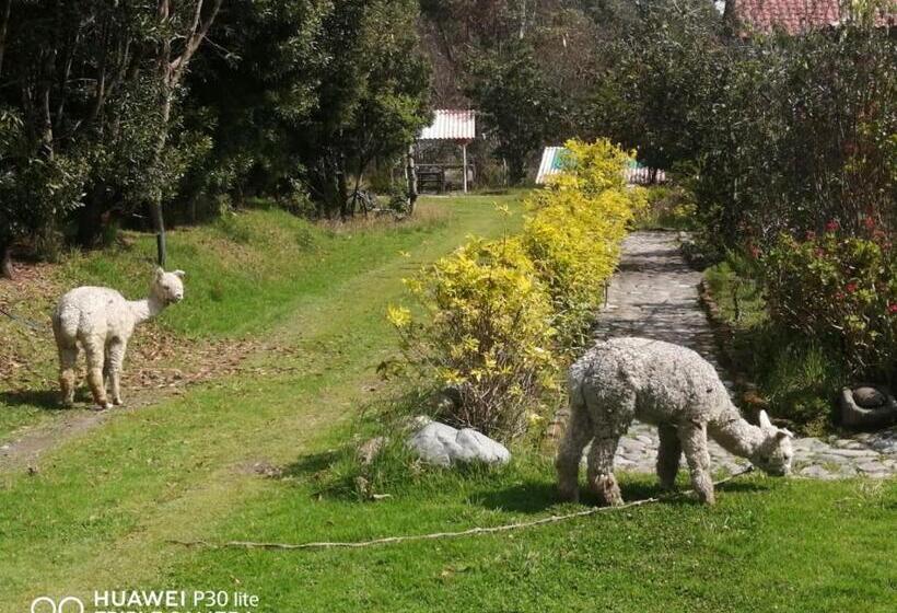 تختخواب و صبحانه Hostal El Vaquero