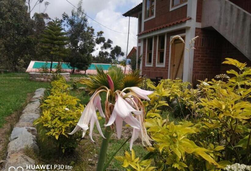 تختخواب و صبحانه Hostal El Vaquero