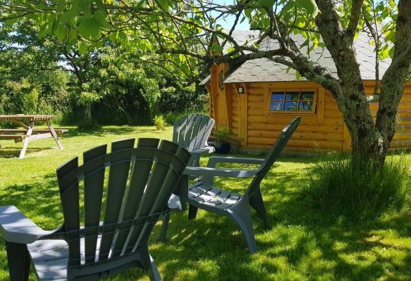 Bed and Breakfast La Bercéenne