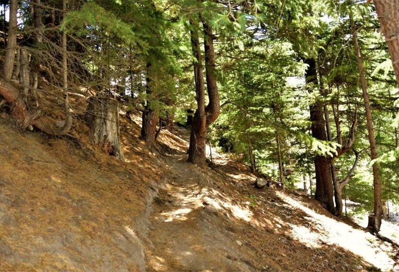 ホテル Batseri Sangla