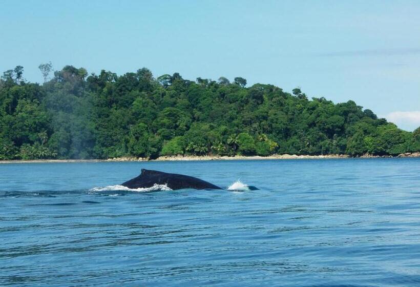 호텔 Cabañas Refugio Salomon