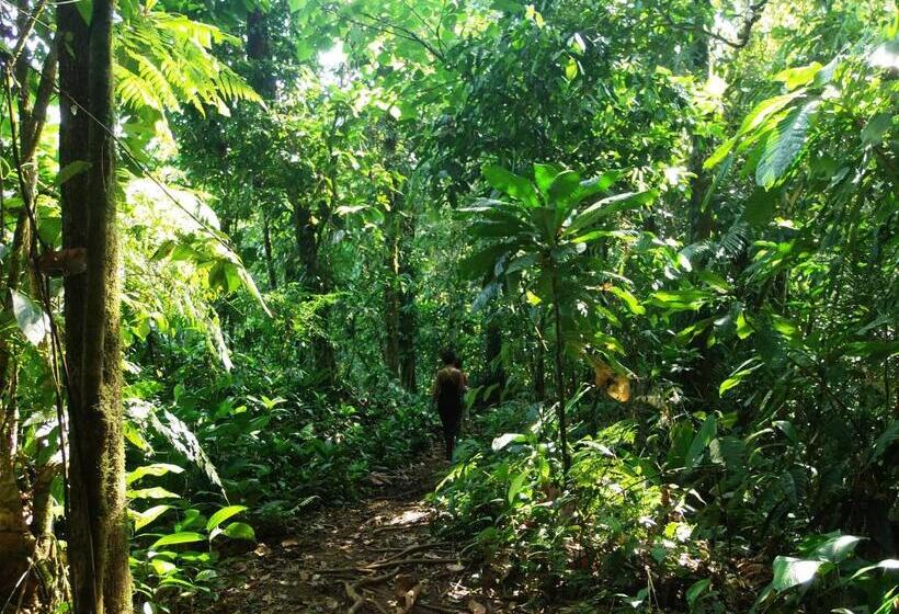هتل Cabañas Refugio Salomon
