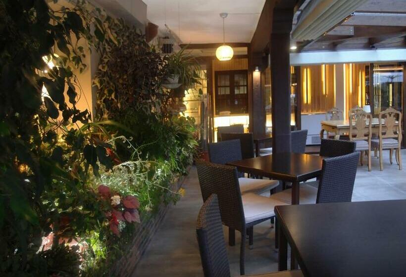 בית מלון כפרי El Montero