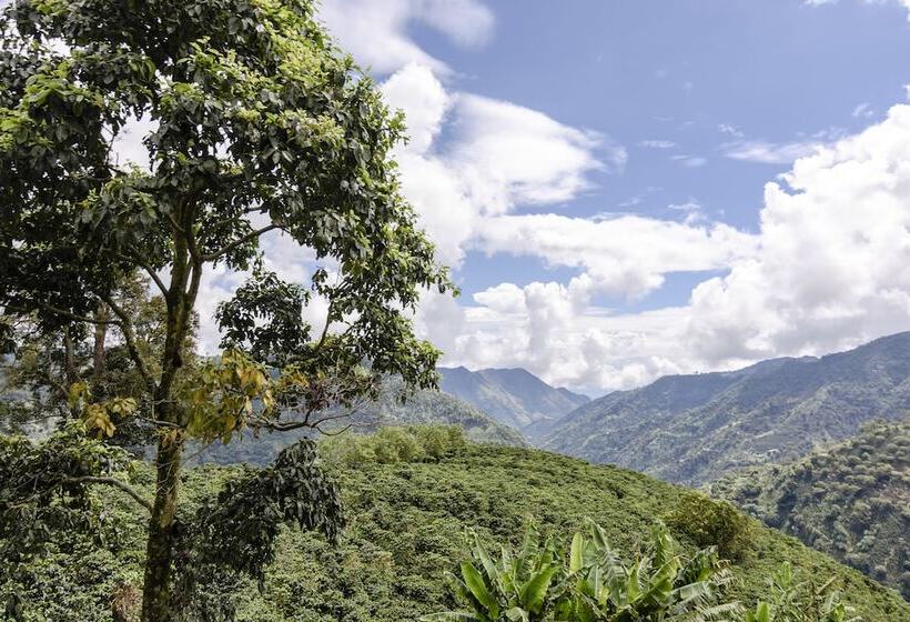 ホテル Finca Boutique El Diamante