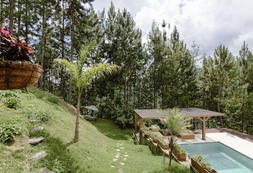 ホテル Finca Boutique El Diamante