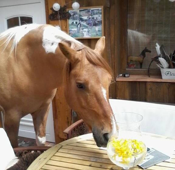 ホテル Funny Farm