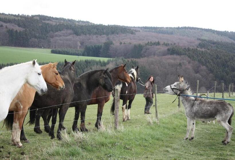 בית מלון כפרי Funny Farm