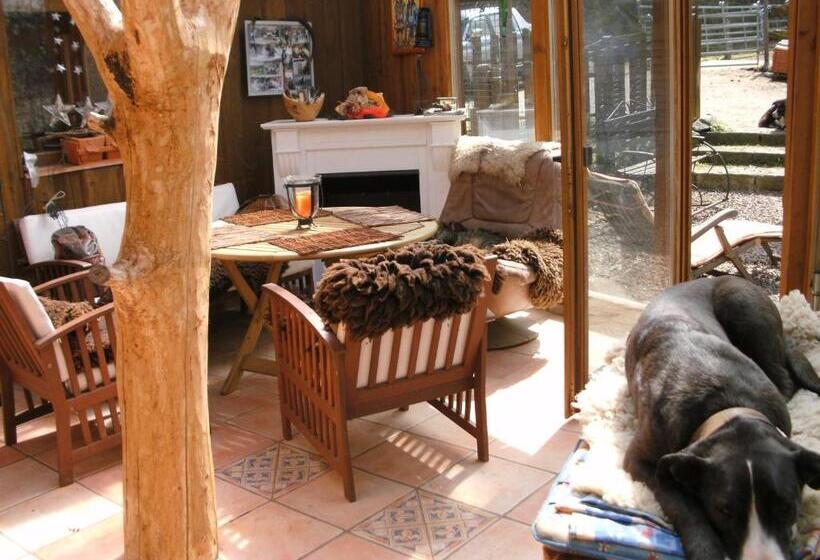 בית מלון כפרי Funny Farm