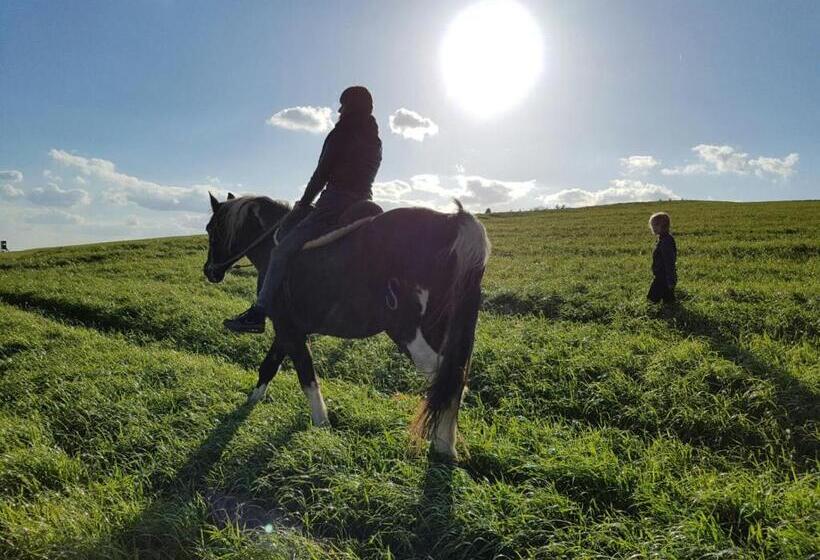 ホテル Funny Farm