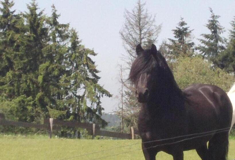 ホテル Funny Farm