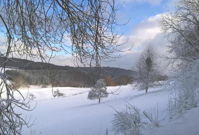 בית מלון כפרי Funny Farm