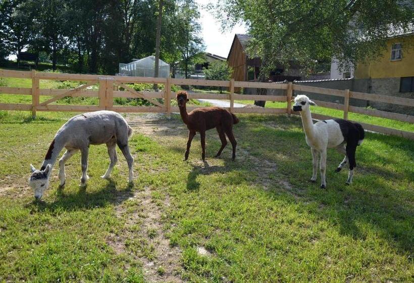 هتل Gasthof Pension Walther