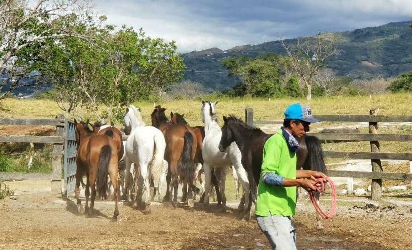 Отель Hacienda El Rodeo