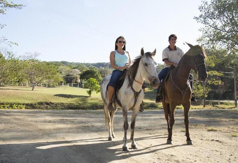 Отель Hacienda El Rodeo