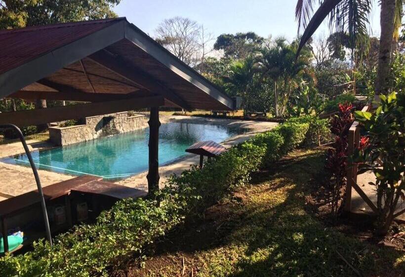 Отель Hacienda El Rodeo