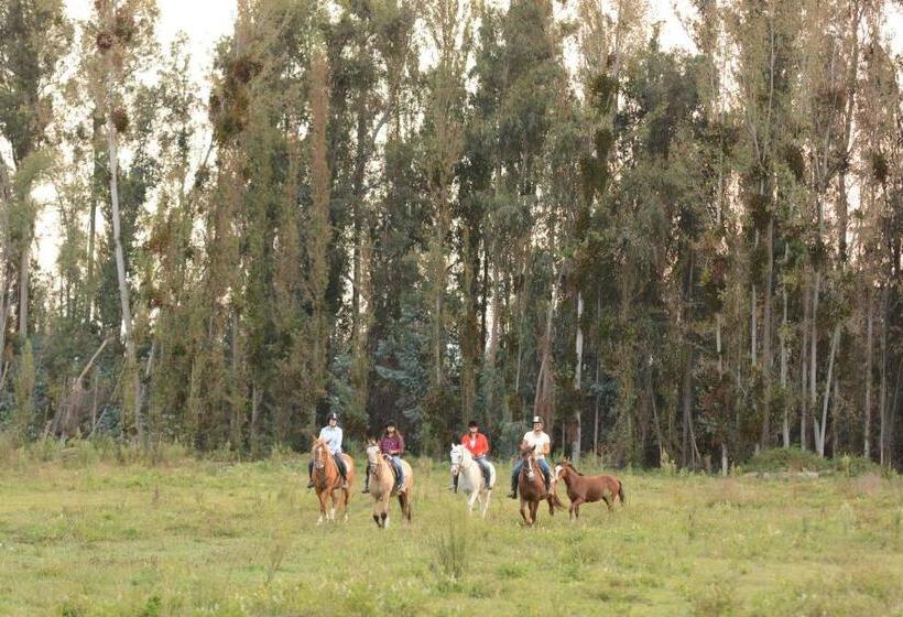 בית מלון כפרי Hacienda Santa Clara