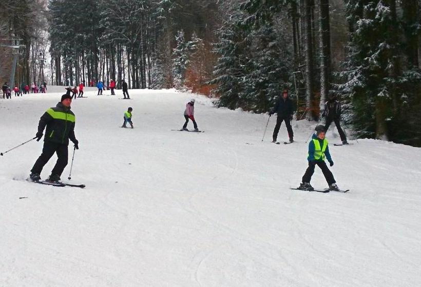 בית מלון כפרי Křemešník