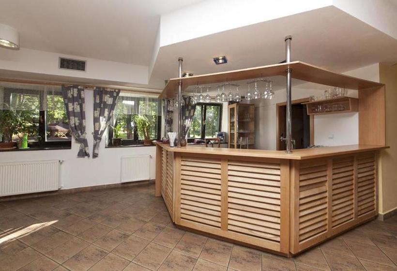 בית מלון כפרי Křemešník