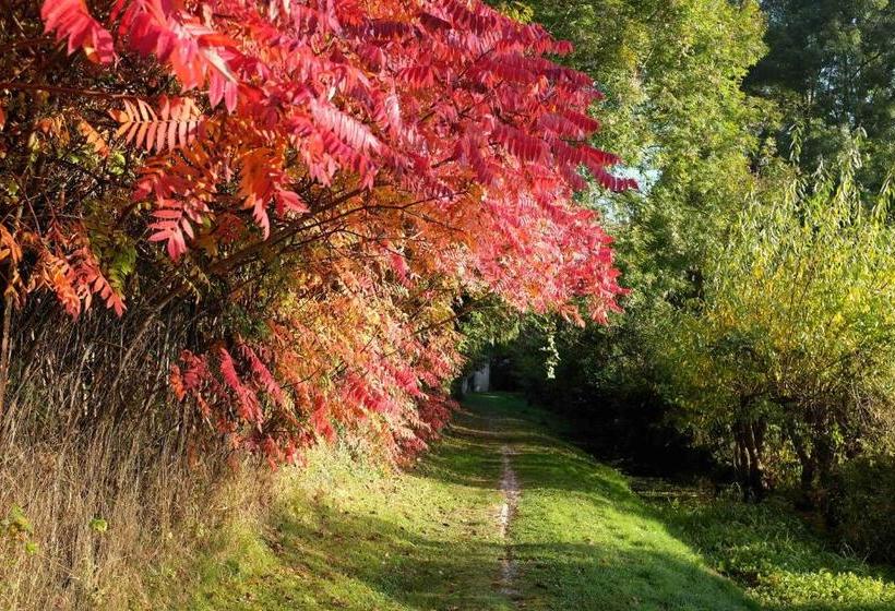 호텔 La Renaissance