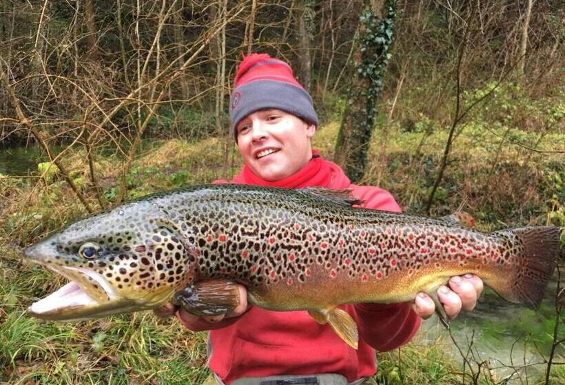 فندق Lodge Hôtel De Sommedieue Verdun